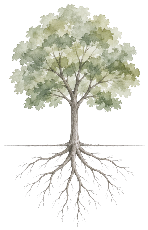 A simple watercolor of one healthy tree supported by a strong branching root system